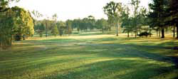 Looking down the fairway to the 3rd Green